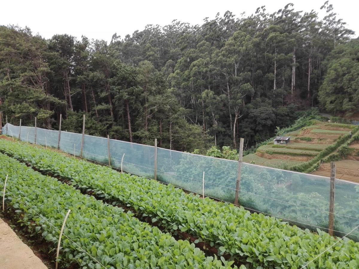Keshiya Ferienhaus Nuwara Eliya