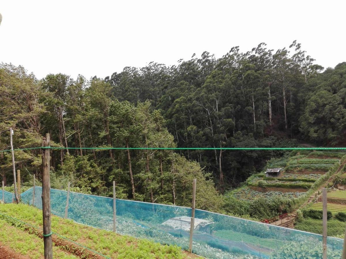 Keshiya Ferienhaus Nuwara Eliya